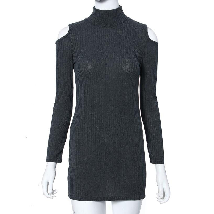 JECKSION WOMEN WINTER LONG SLEEVE SWEATER/DRESS
