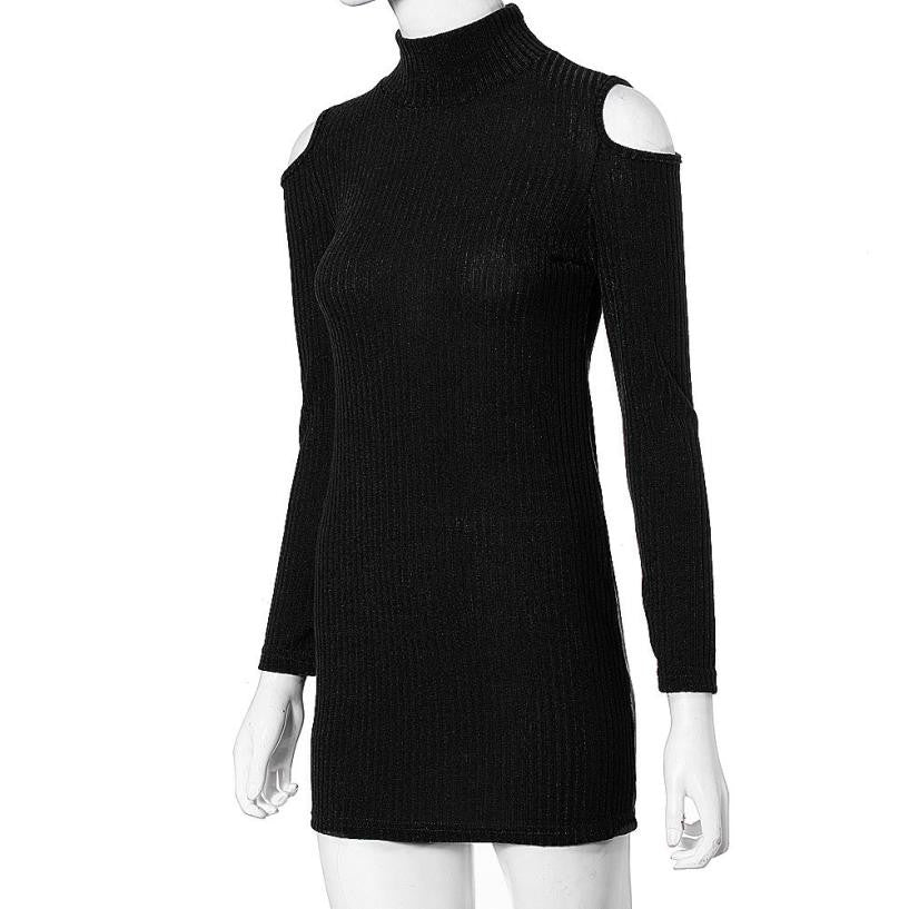 JECKSION WOMEN WINTER LONG SLEEVE SWEATER/DRESS